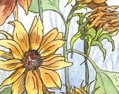 Sunflowers Greetings Card - blank, notecard
