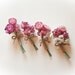 Set of 4 Dried flower Mens Buttonhole/Boutonniere