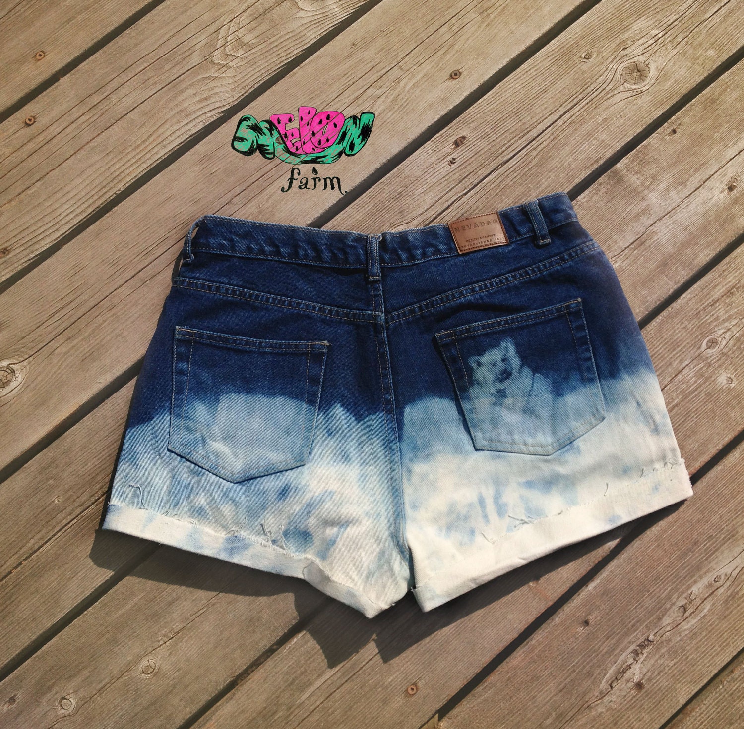 High Rise Denim Polar Shorts