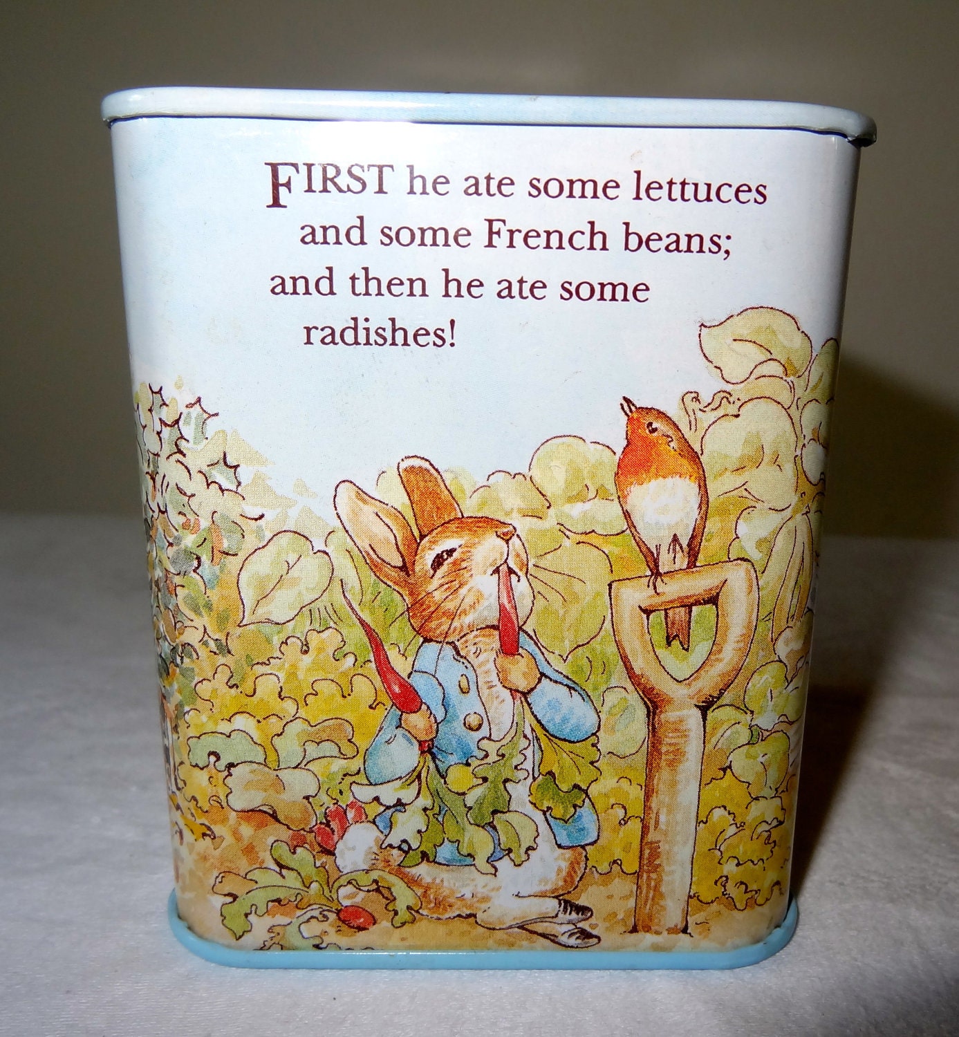 Peter Rabbit money box tin