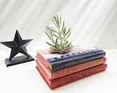 Upcycled Vintage Book Planter Repurposed Red White Plaid White Stripes Recycled Succulent Air Plant Pot Natural Moss // Spies - UpboundBooks