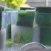 Cyber Monday Etsy - Tea Tree Pine Scented Soap, Scented Glycerin Soap, Woodsy Soap