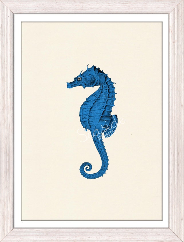 Seaside wall art Blue seahorse - sea life print - bathroom wall decoration