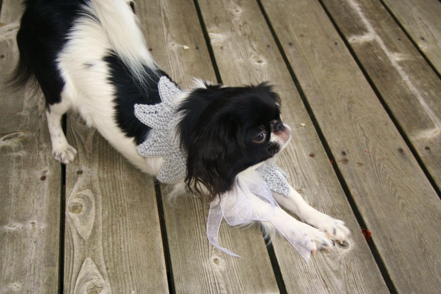 Dog Caplet, Silver and Black
