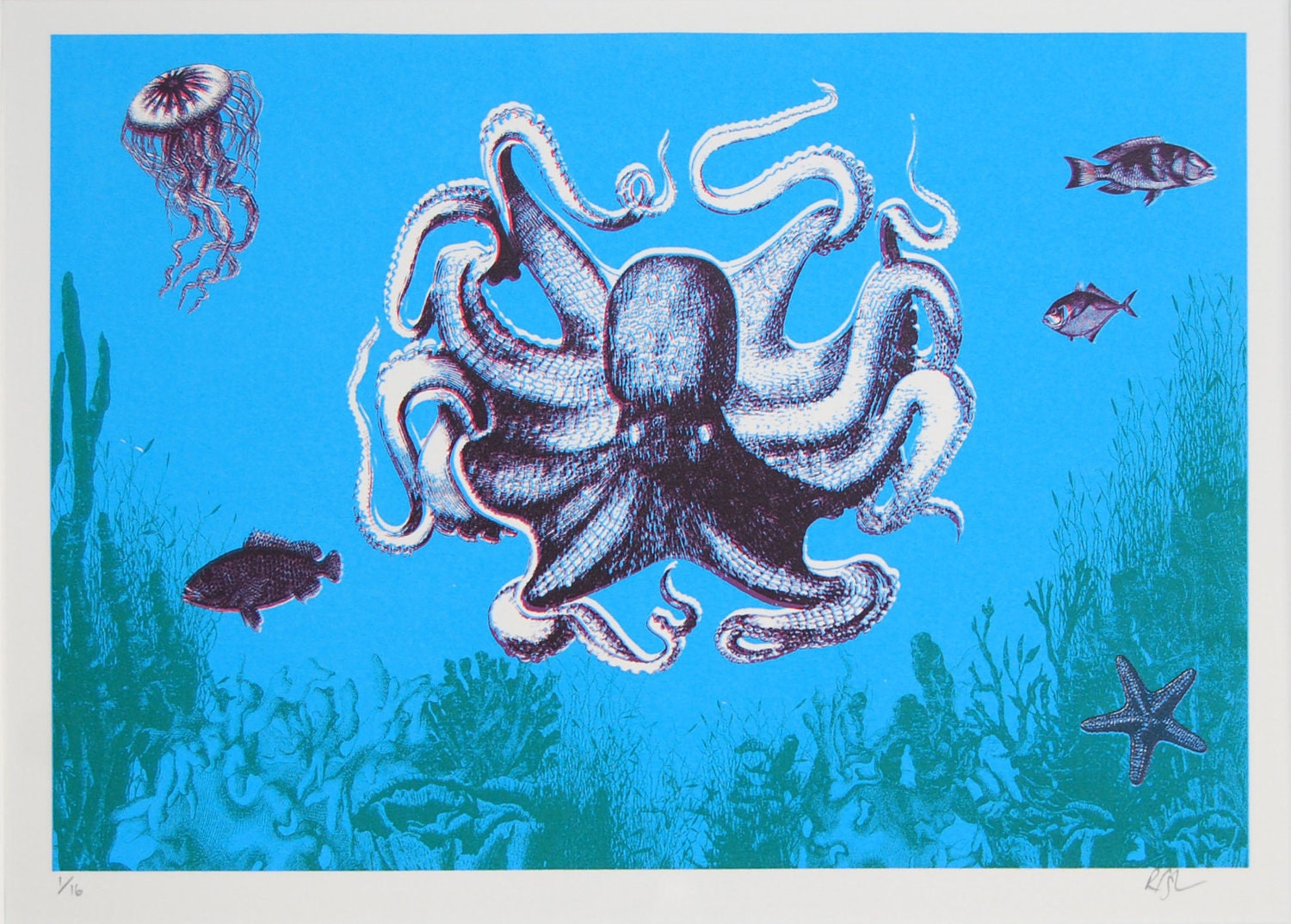 3D Octopus