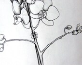 Original Drawing, Line drawing, "Orchid" - Original drawing, ink and pen Drawing, Original Art, Black and white