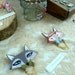 Broche/barrette  FOX