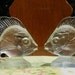 Vintage Fenton Glass Fish (Pair) - Crystal Velvet