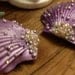 Mermaid shell bra top- DELUXE