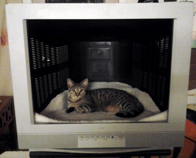 Repurposed Television Pet Bed
