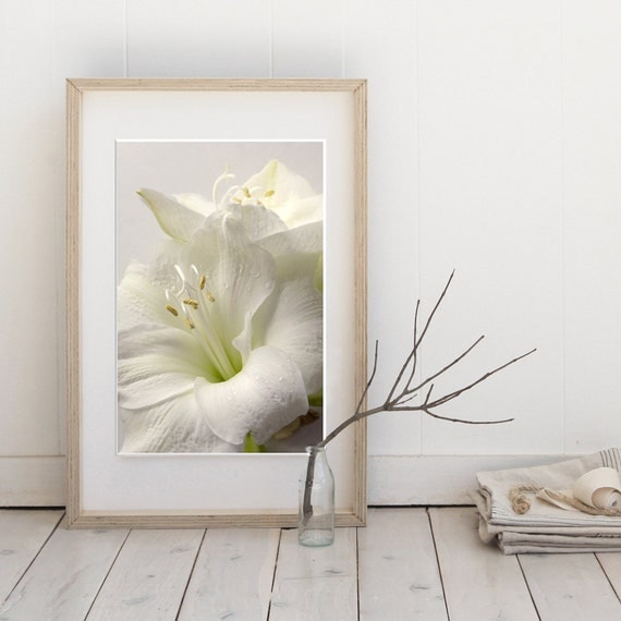 Lilies Bloom White photographs,pastel tones, shabby chic , home decor , wall art print 6x9 inch - Fine Art Photography