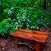 Rustic Handmade Mountain Laurel and Red stained pine Coffee Cocktail 50" Table Log Cabin Furniture by J. Wade