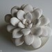 Modern White Succulent Sculpture in Round Champagne Container, Tabletop Centerpiece, Desktop Accessory, Home Decor