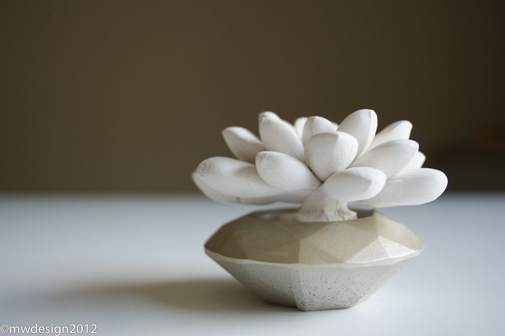 White Succulent Sculpture, Modern Champagne Faceted Geometric Dechedron Container, Desktop Accessory