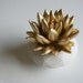 Succulent Sculpture in White Modern Faceted Geometric Container, Spring Tabletop, Wedding Centerpiece