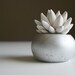 White Succulent Sculpture in Modern Round Container, Desktop Accessory, Tabletop Centerpiece