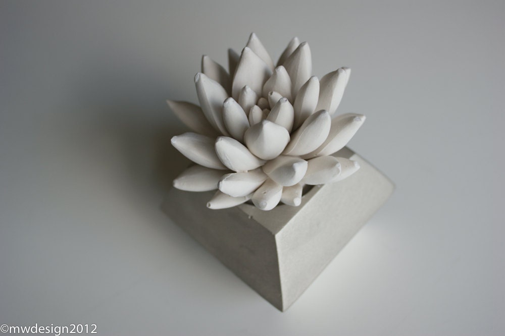 White Succulent Sculpture, Modern Nickel Faceted Geometric Container, Desktop, Tabletop Centerpiece