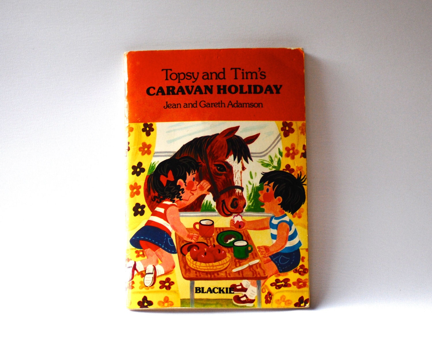 Topsy and Tim Caravan Holiday Retro Children's book Childhood memories