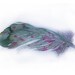 Watercolor feather-Art painting of feather-Feather painted by watercolor 7,5/11 inch