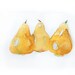 Watercolor painting of Pears-Watercolor  art original-Wall art-Yellow pears in watercolor