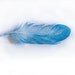 Watercolor painting of feather-Feather painting-Watercolor painted feather-Feather watercolor in light blue-Art Original