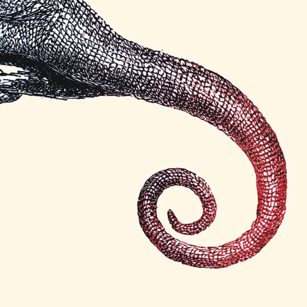 Vintage  Chameleon Poster , Print Art, Digital Illustration Wall Decor,  Print  to Frame, Digital Print Wall Art
