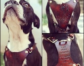 Custom Leather Hand Tooled Dog Harness - For Pets Up To 30lbs