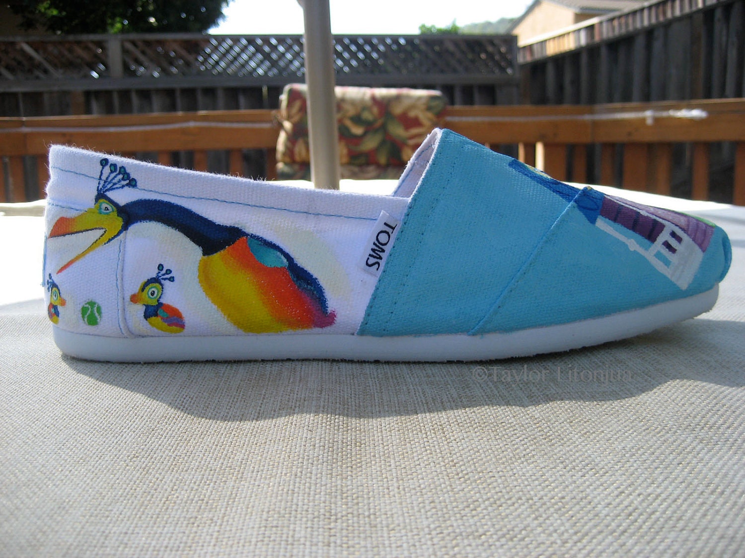 Custom Hand Painted Toms: Disney Pixar's Up Design