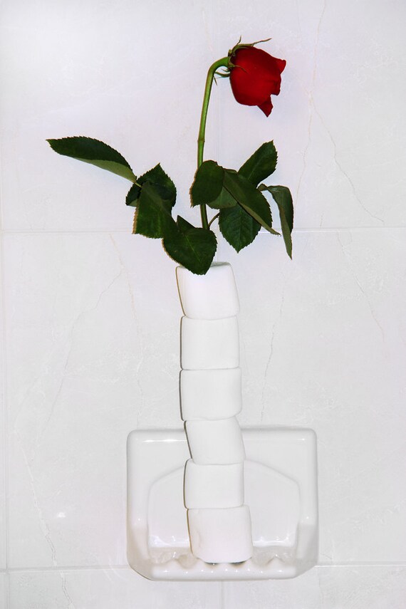 Romantic Marshmellow Rose for Dad or Lover (RARE)