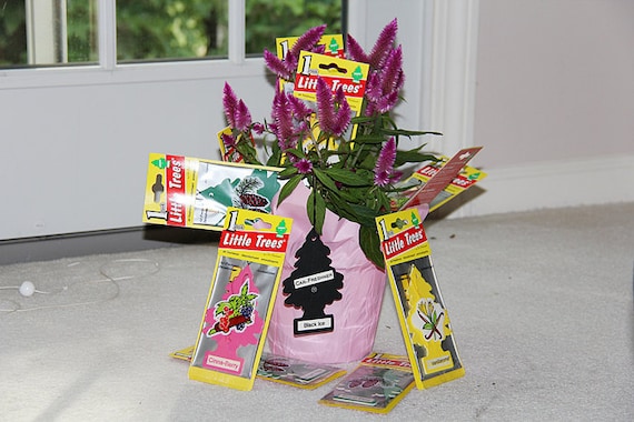 ORGANIC PLANT and AIRFRESHENERS (never let a plant stop smelling pleasant) objects for sale to 9/11 conspiracy theorists only
