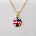 Ladybug Necklace for MSD/SD