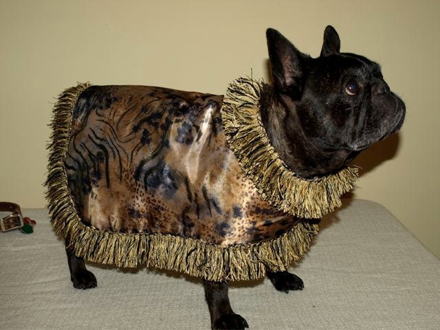 Animal Print Safari Cool Coat for Your Dog French Bulldog Pug Boston Terrier - BlissfulDogBoutique