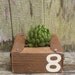 Mini Air-plant or Succulent Planter