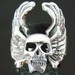 Wicked Metalz