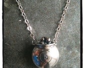 Pet Remains Memorial Pendant