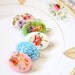 Sweet Cameo Granny Chic Barrettes - Choose Two