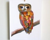 Watercolor Painting - Colorful Owl Watercolor - archival 11 x 14 inch print reproduction