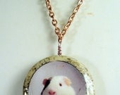 Reversible Jasper GUINEA PIG Necklace - OOAK - Bohemian Jasper Photo Pendant with 19 inch copper cable link chain