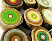 Tree Ring Paintings on Reclaimed Red Elm for Your Modern Cabin or Modern work space