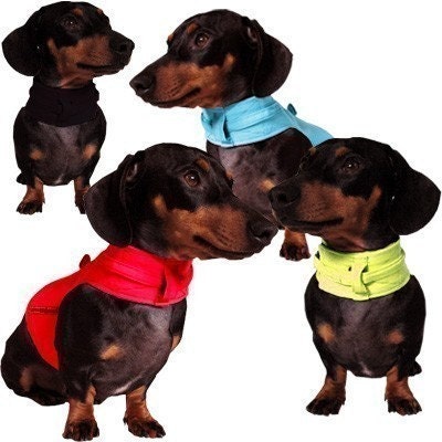 Eco Dog Harness - Renewable Solid Colored Cotton - Small