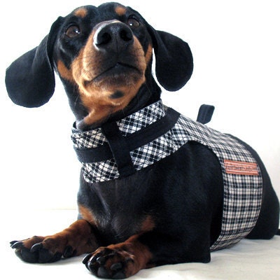 Eco Dog Harness - Renewable Black Plaid Cotton - Large