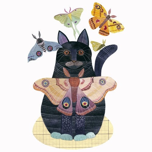 Moth Cat