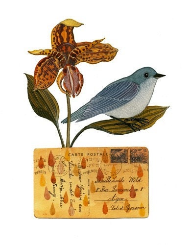 Bird No.18