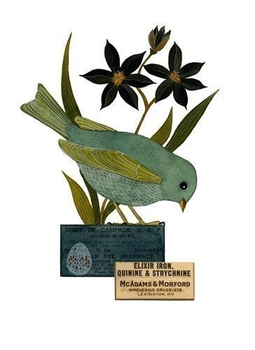 Bird No.13