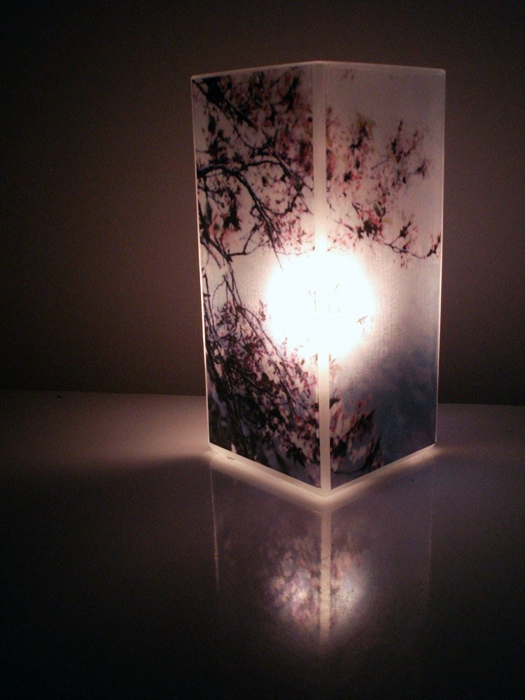 Cherry Blossom Light - Glass Polaroid Photo Table Lamp - Unique Housewarming Gift, Home Decor, Functional Illuminated Art