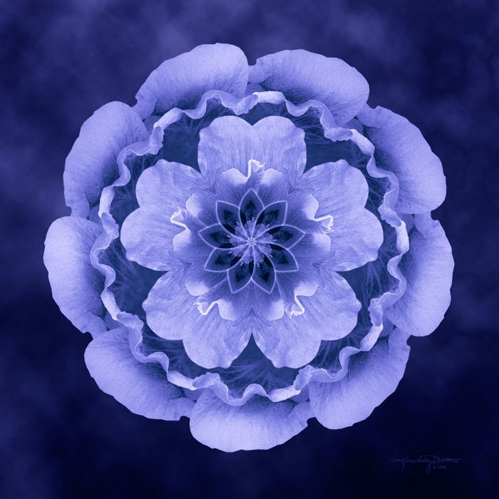 Blue Hollyhock Flower Mandala Art for Communication