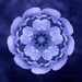 Blue Hollyhock Flower Mandala Art for Communication