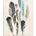 Feathers - print of original illustration