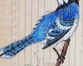 Primitive Folk Art Blue Jay and Vintage Paper Print - digiliodesigns