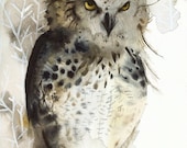 owl art - Great Horned Owl Archival print of watercolor- , rustic home decor, natural, owl art, men, for him - amberalexander
